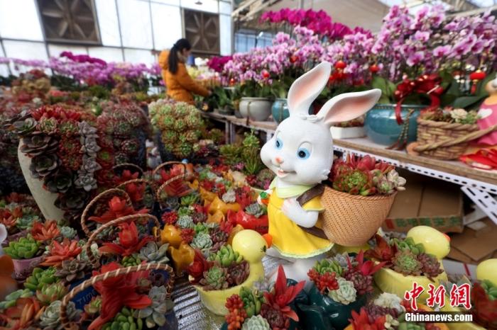 市民在北京一花卉市场挑选年宵花，迎接中国农历兔年